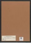 Navicula decipiens O'Meara (de-Toni-Nr.: Genus 1, Species 495) Zeichnungen Sammlung Grunow Mappe 00434 (Herbarium_W_Grunow_drawings_Folder_00434)